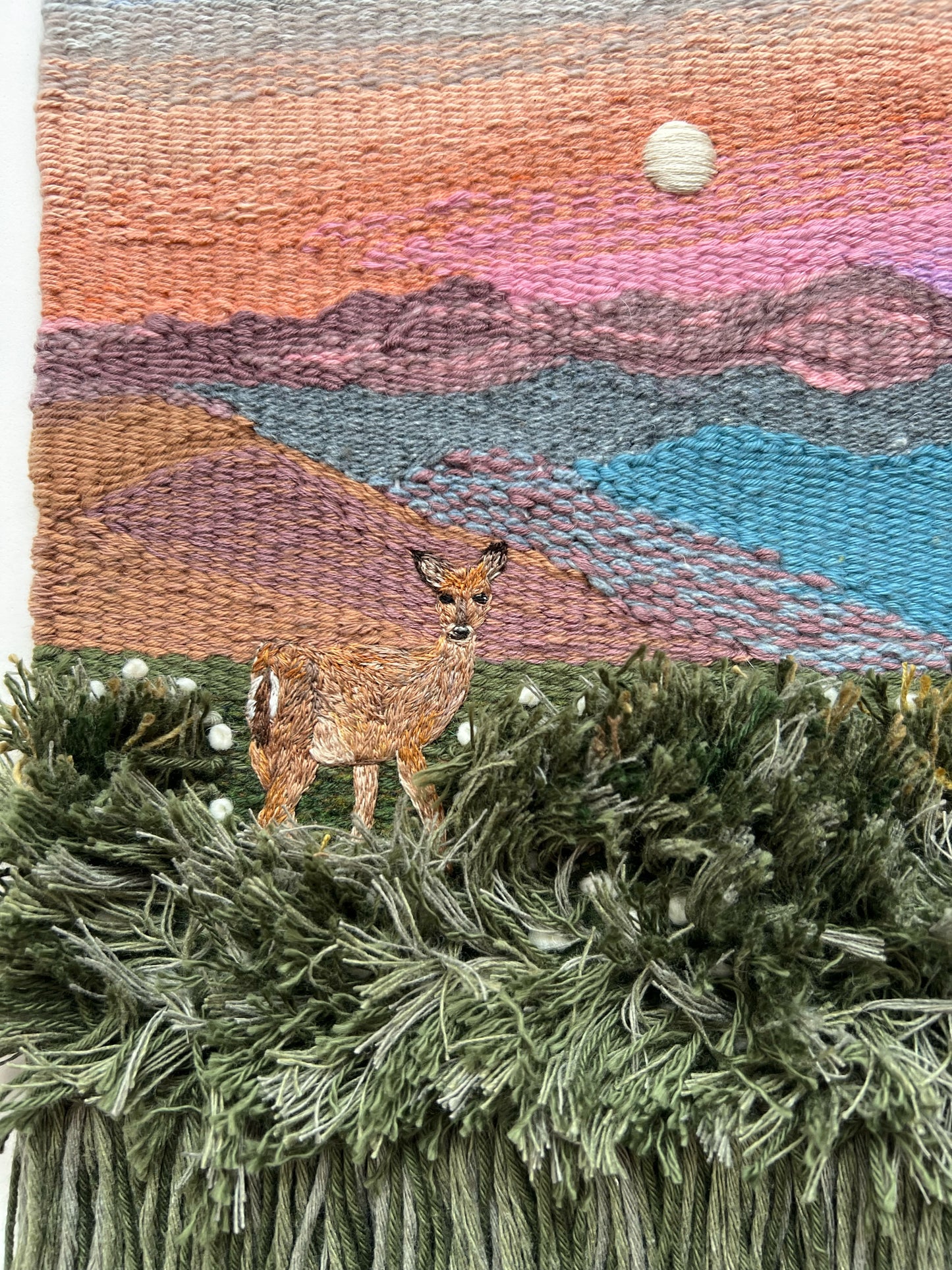 Whitetail Fields