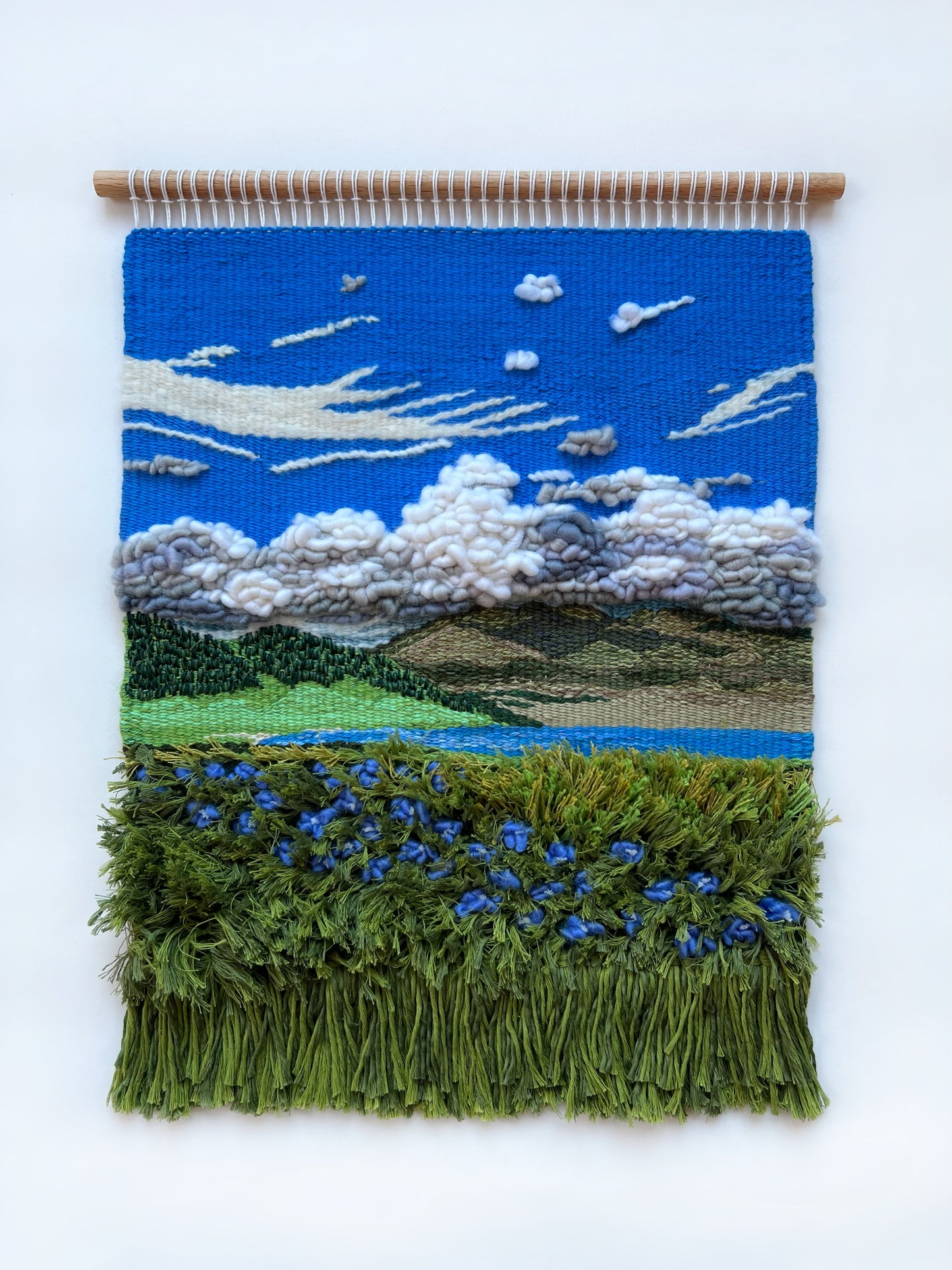 Field of Blue Dreams
