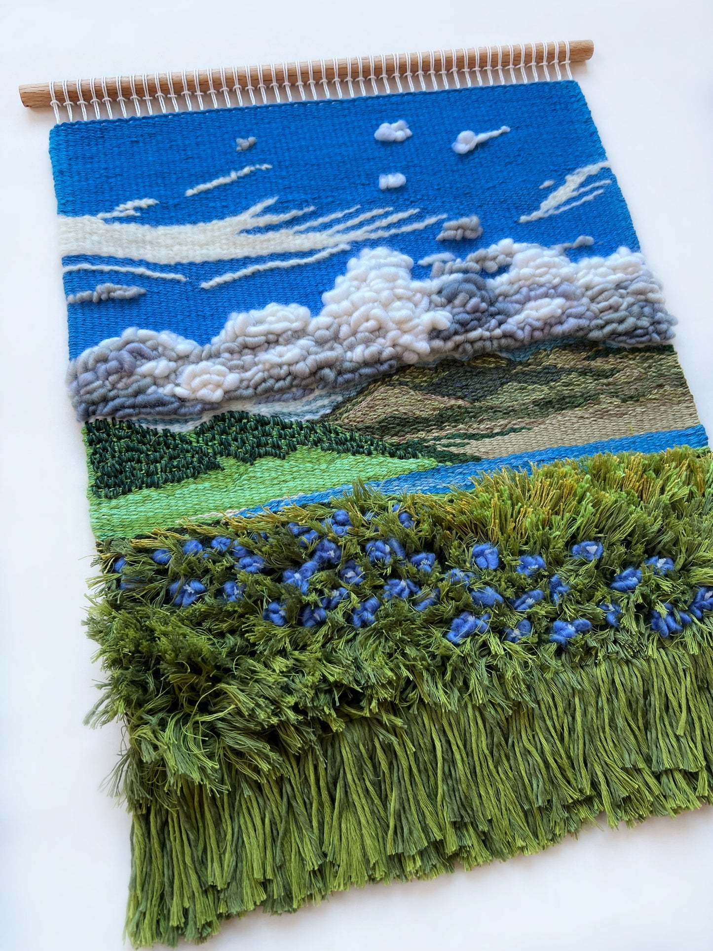 Field of Blue Dreams