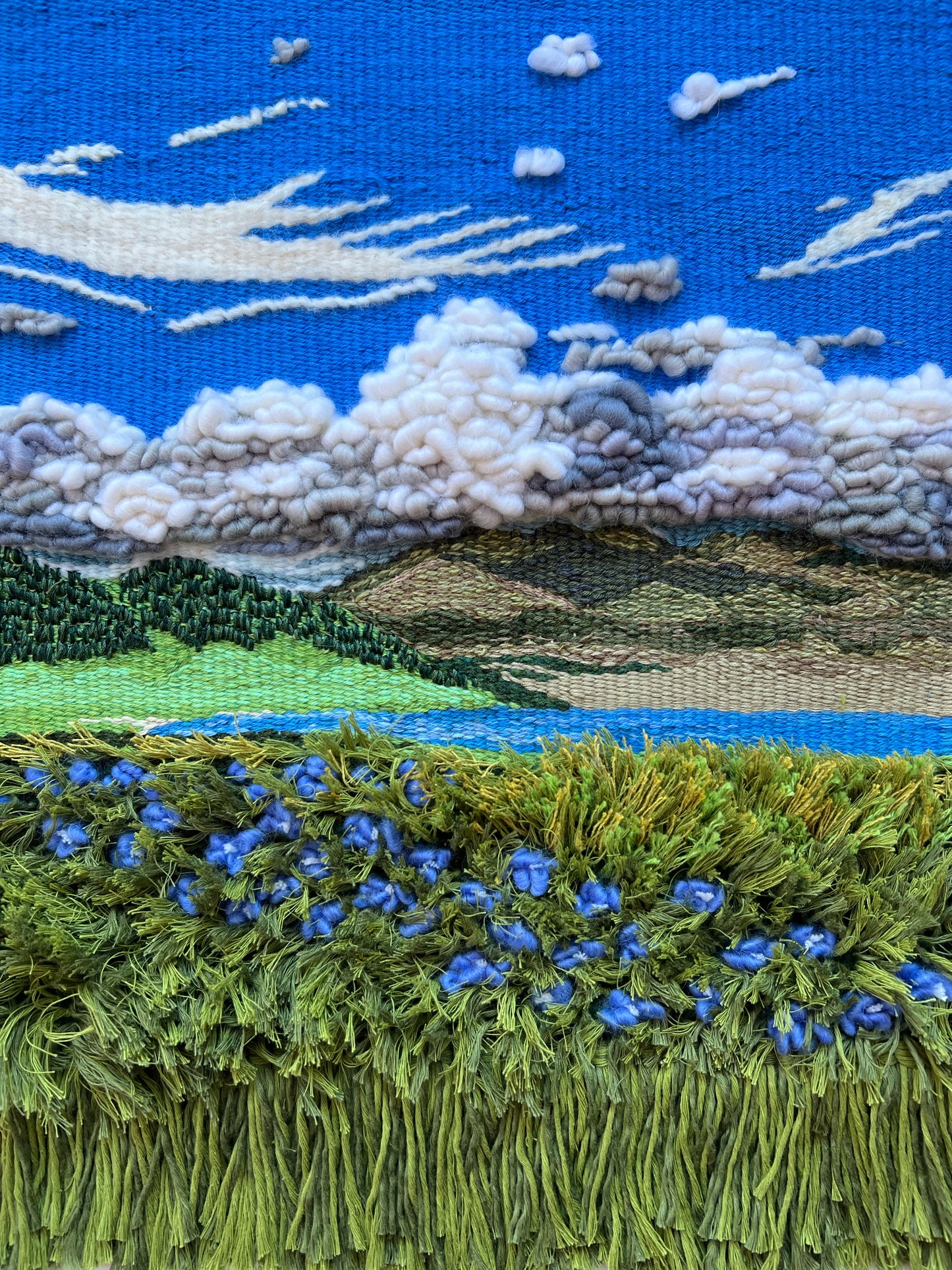 Field of Blue Dreams