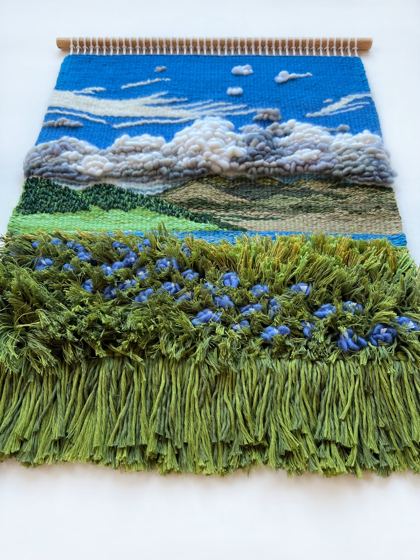 Field of Blue Dreams