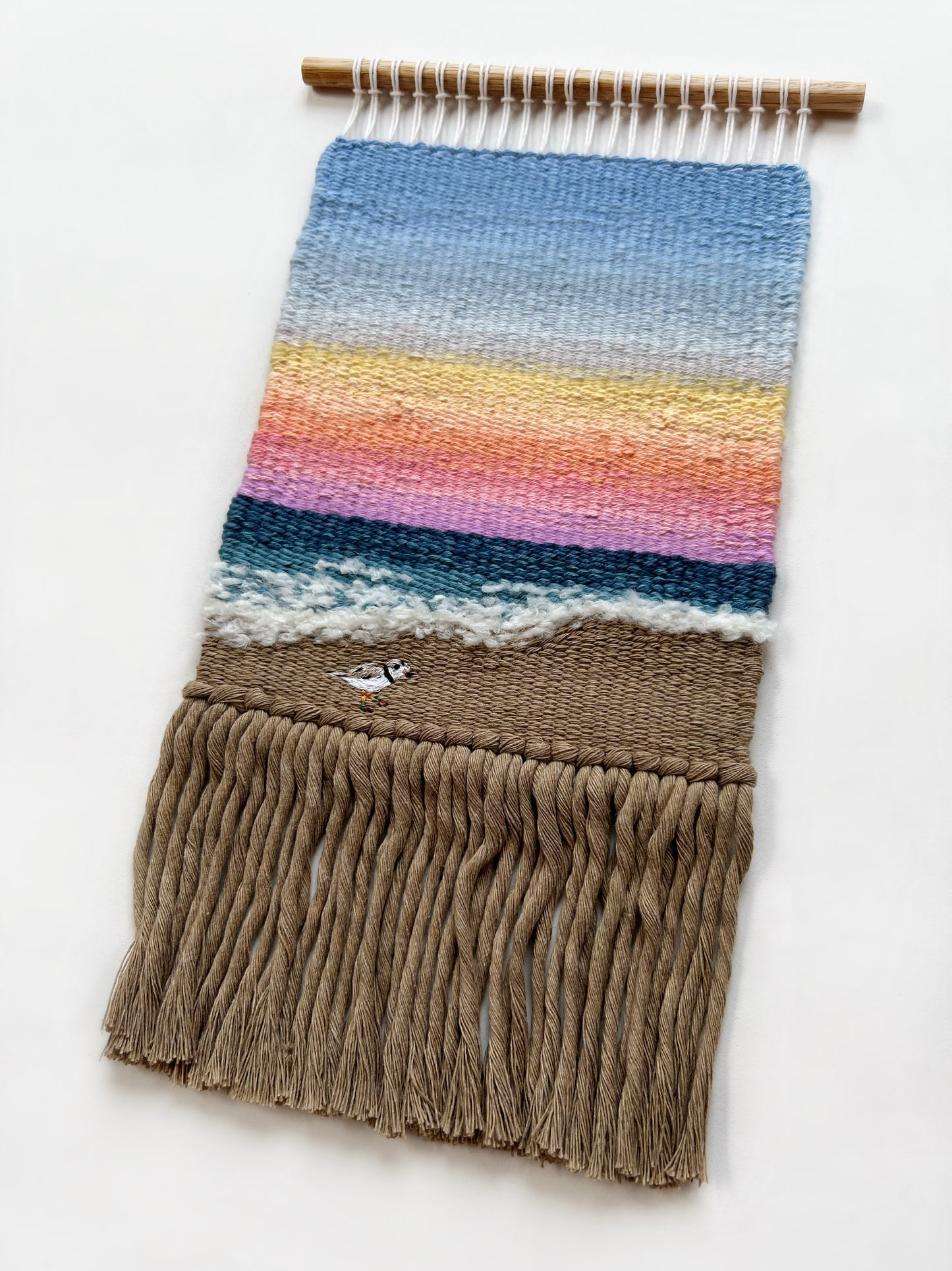 Pippin the Plover