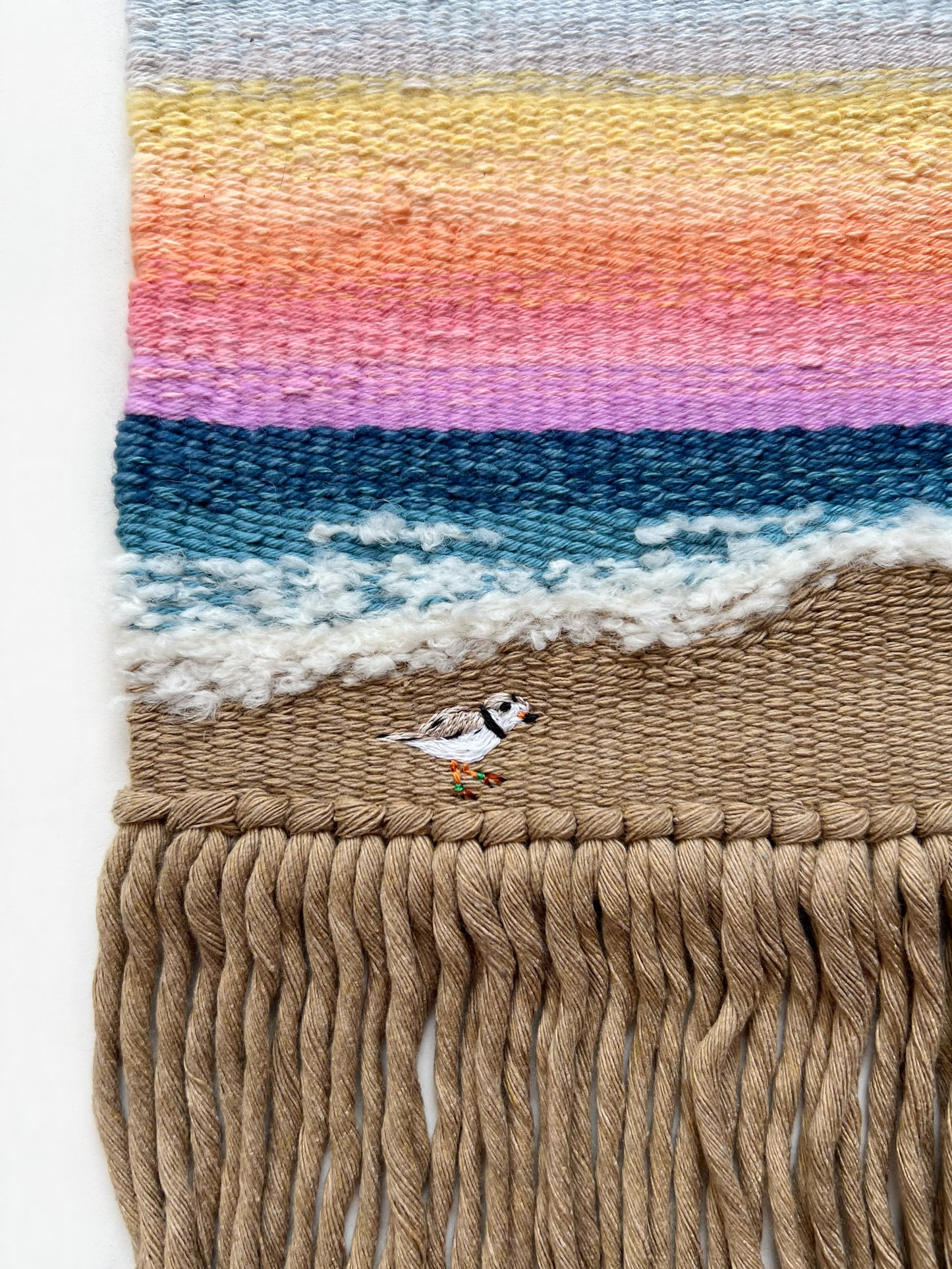 Pippin the Plover