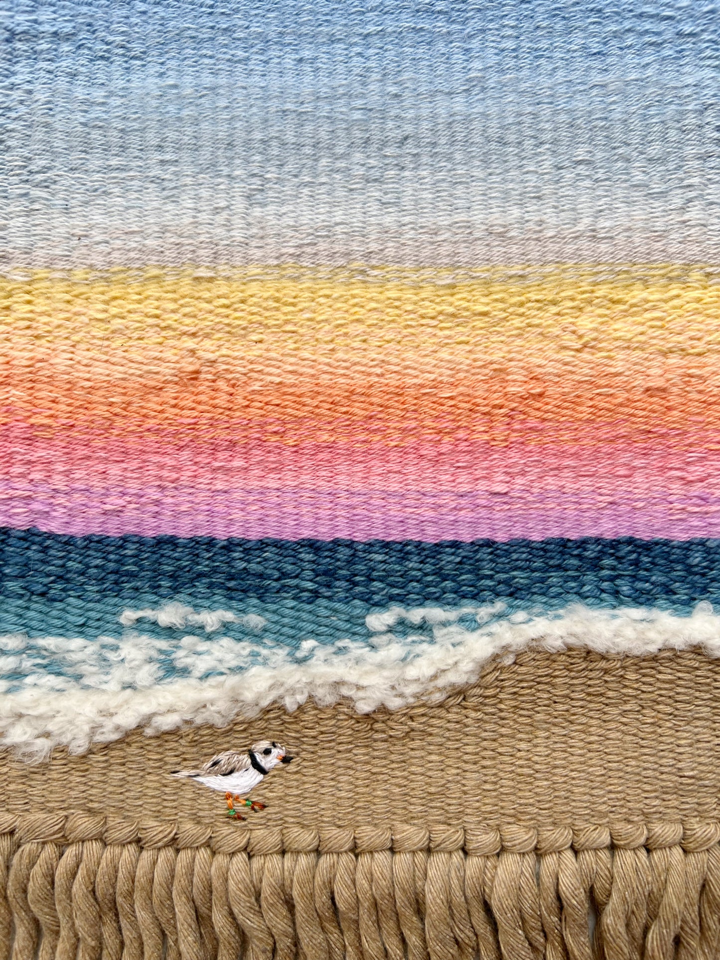 Pippin the Plover