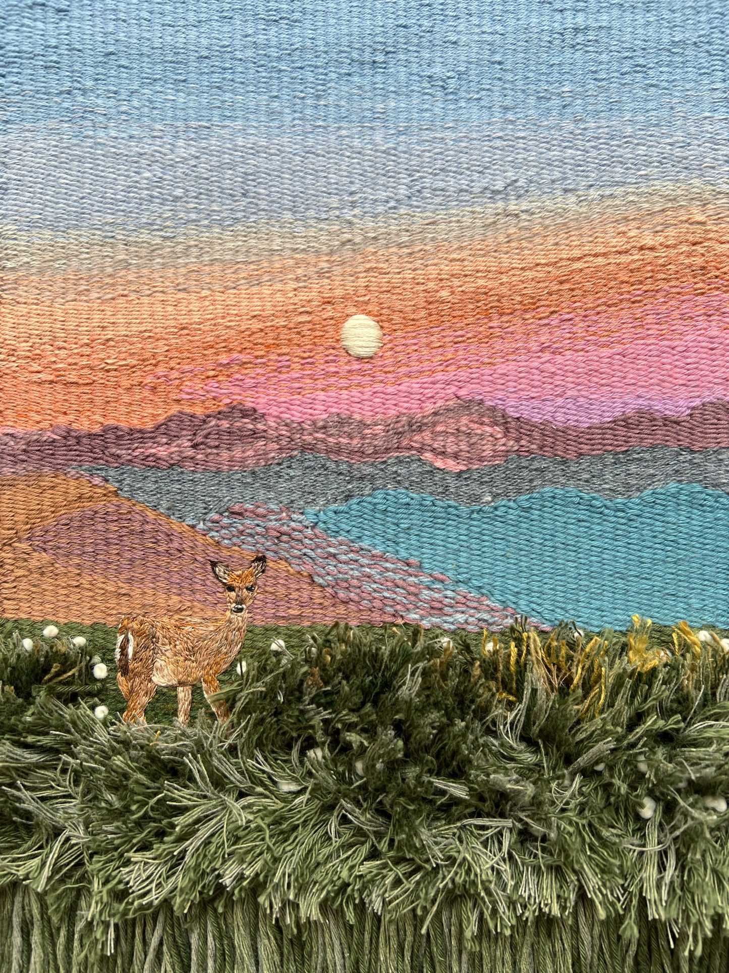 Whitetail Fields